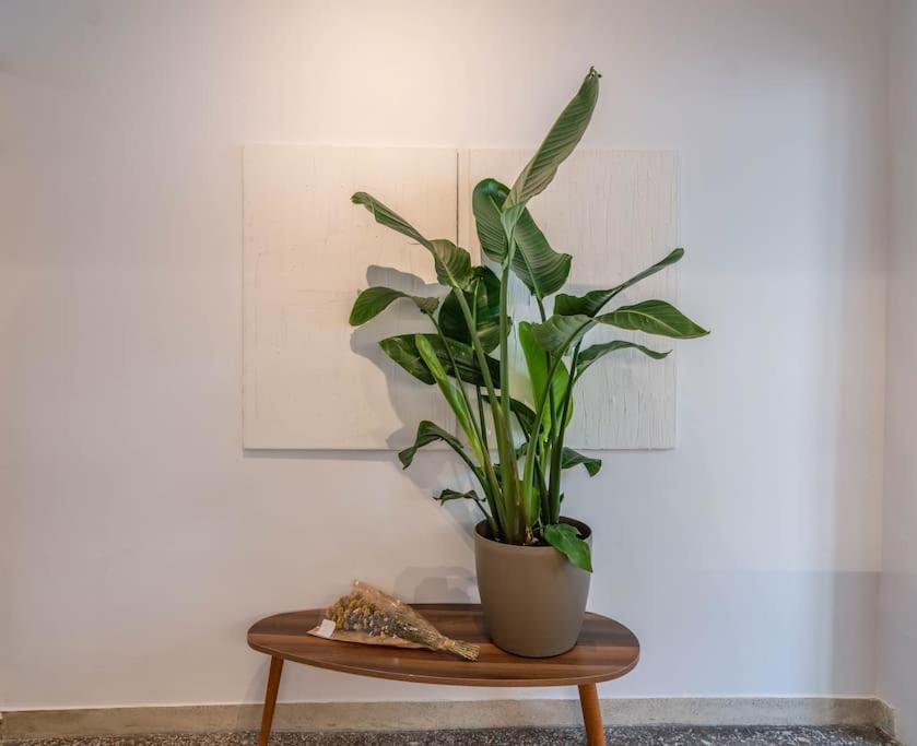 アテネBotanicalアパートメント エクステリア 写真