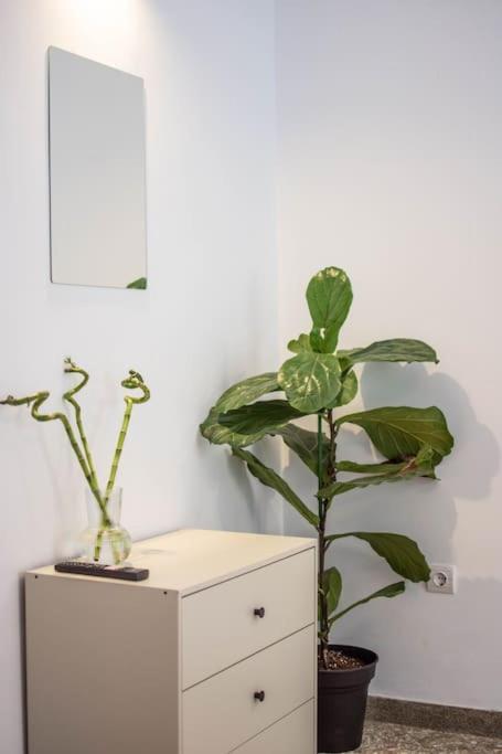 アテネBotanicalアパートメント エクステリア 写真