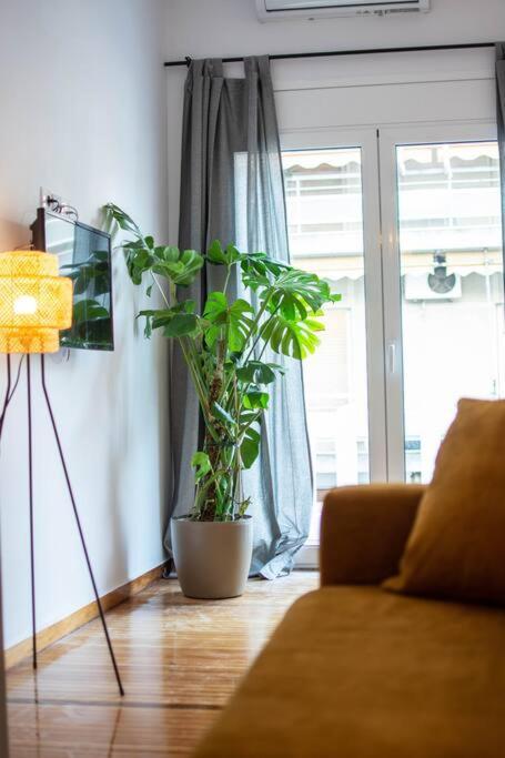 アテネBotanicalアパートメント エクステリア 写真